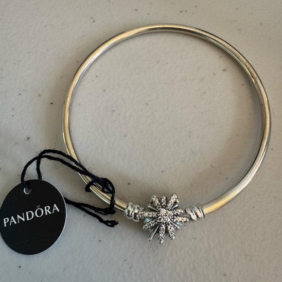 Pandora Fireworks Limited Edition Bangle B801004-19 - Picture 1 of 7